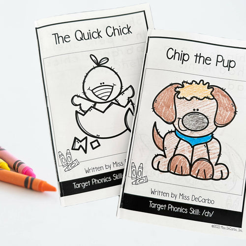 Phonics Mini Books Set 3 - The Classroom Key