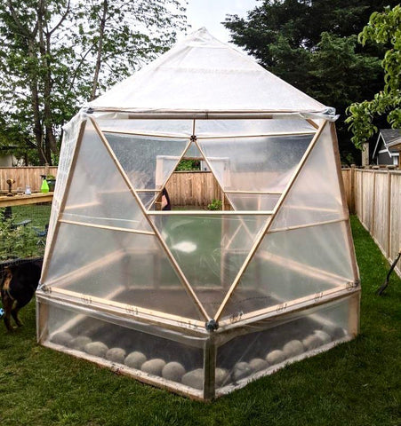 Beautiful magidome geodesic greenhouse @thelivinghomestead