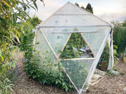 Build a Geodesic Dome Greenhouse!