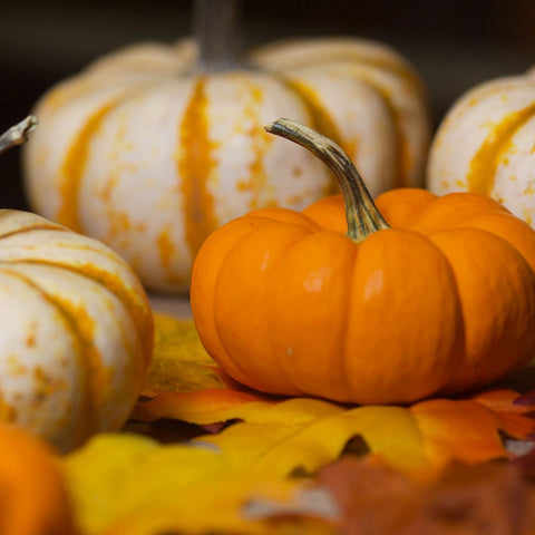 Pumpkins and gords are great decorations for Fall