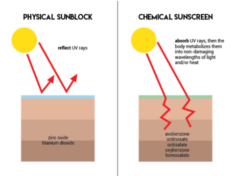 Difference between physical and chemical sunscreen