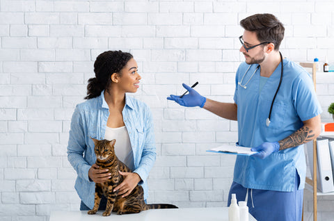 Veterinary Clinic, Customer, Cat 