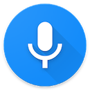 voice search