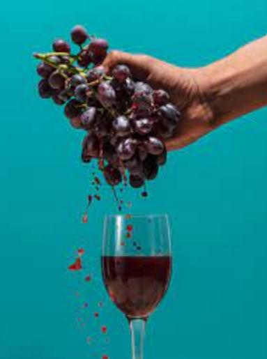 What is Natural Wine