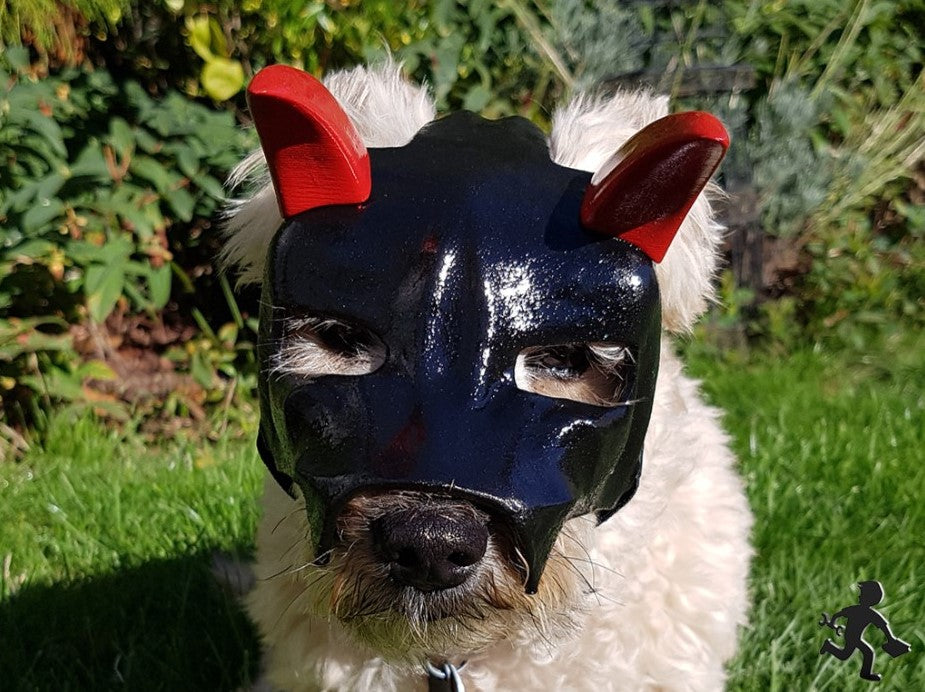 3Dプリントの悪魔マスクのハロウィーンコスチュームを着た犬。