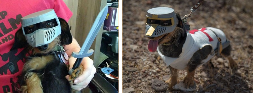 a dachshund wearing a 3d printed deus vult costume for halloween.