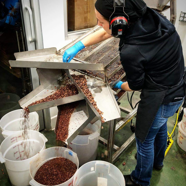 Corey leaning over a sorting machine with cacao beans