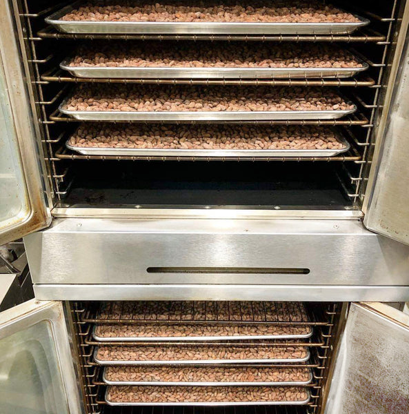 twin convection ovens with their doors open showing trays of roasted cacao beans inside