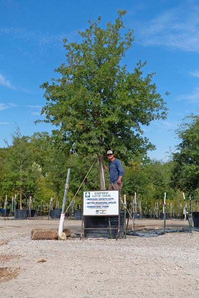 Select & Quality Fill Dirt Dallas Fort Worth