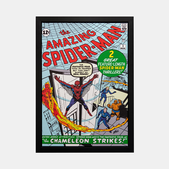 Stan Lee Signed: The Amazing Spider-Man #1 