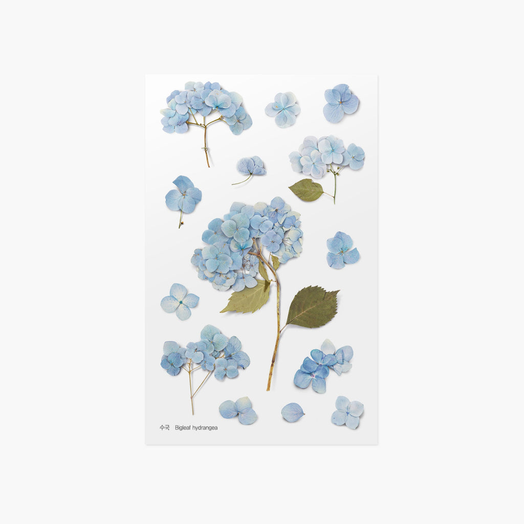 Appree Pressed Flower Sticker Larkspur