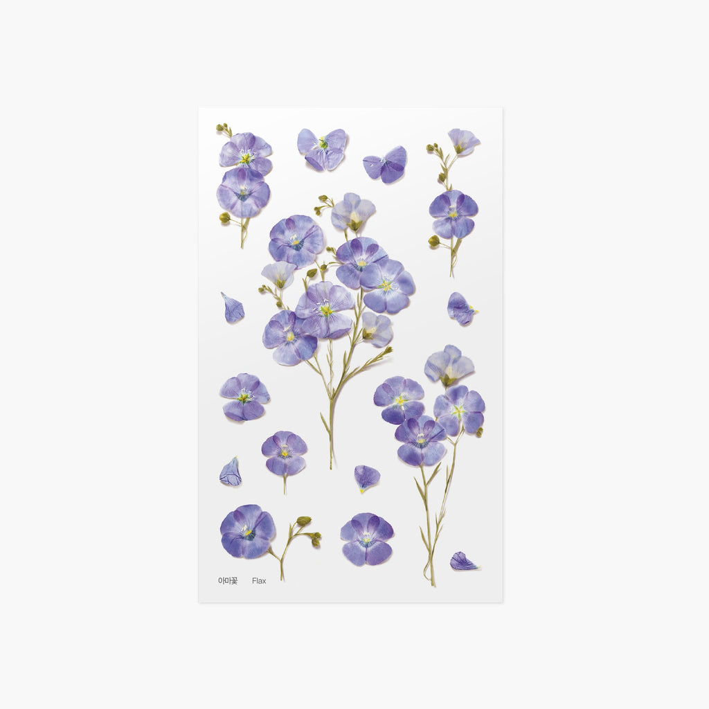 Appree Pressed Flower Sticker - Mini Rose