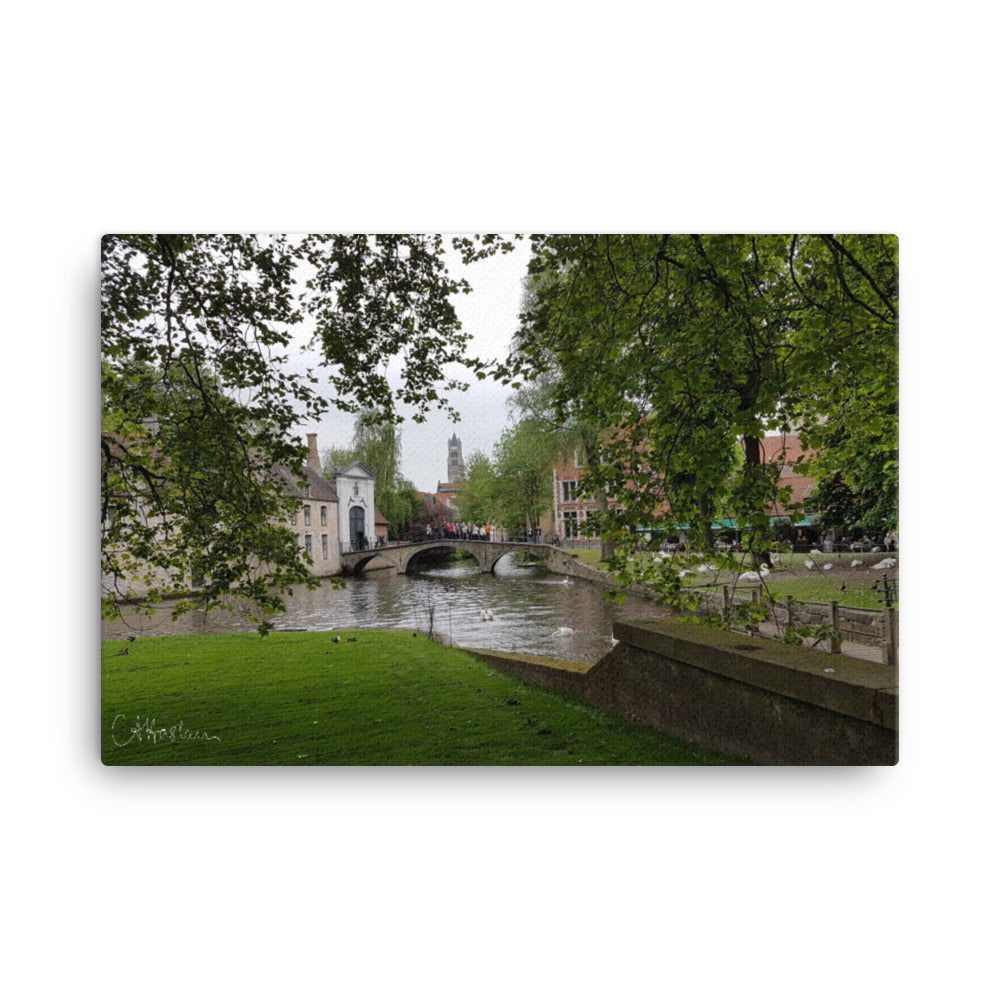 Bruges Swans Canvas Print