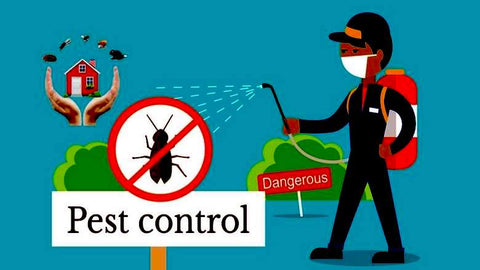 Why Pest Control Is Nessesary When Growing