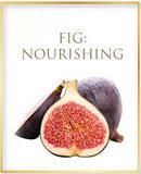 Fig