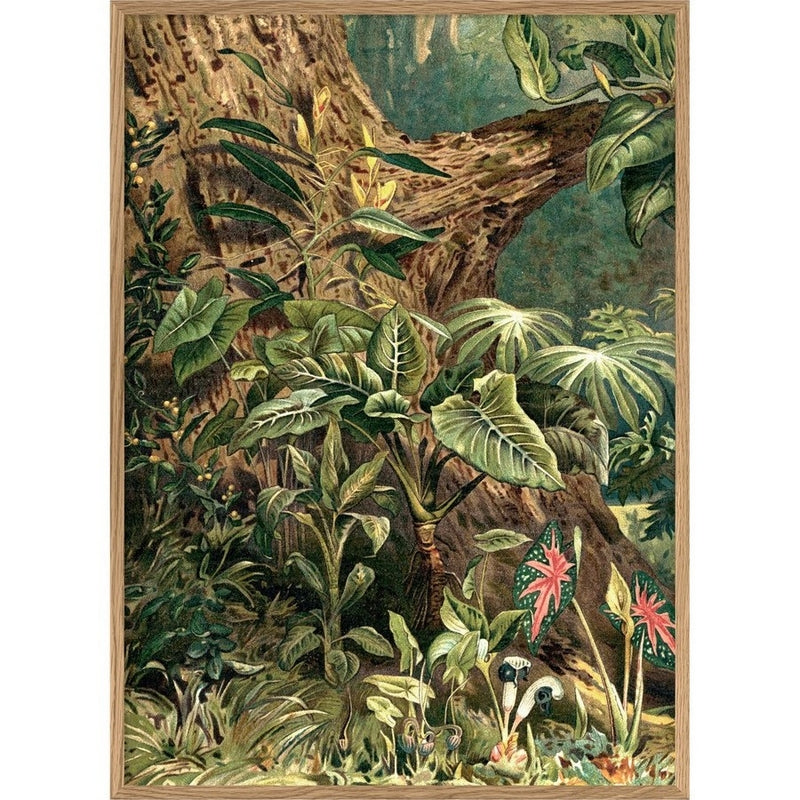 THE DYBDAHL CO. - A2 Astrocaryum wall poster palm trees - Wall – French Blossom