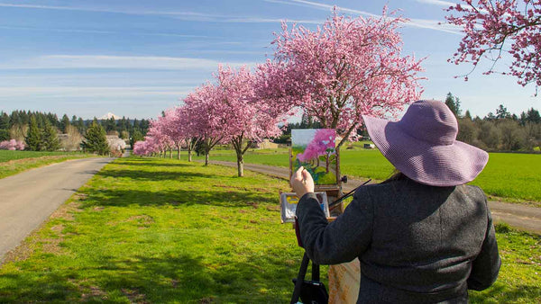 Artist Tali plein air painting a row of pink cherry blossoms in spring