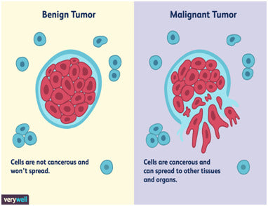 feline cancer