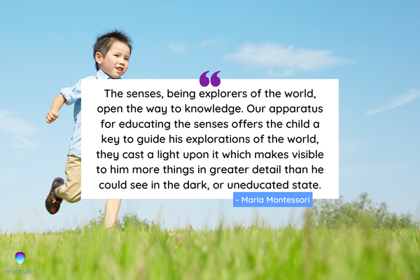The senses, being explorers of the world, open the way to knowledge. Our apparatus for educating the senses offers the child a key to guide his explorations of the world, they cast a light upon it which makes visible to him more things in greater detail than he could see in the dark, or uneducated state.