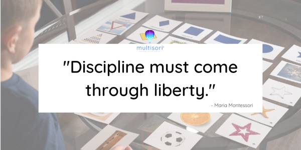 Discipline must come through liberty - Maria Montessori quote