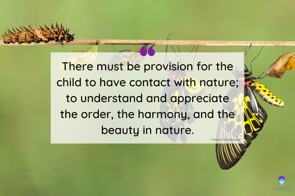 Montessori quote There must be provision for the child to have contact with nature; to understand and appreciate the order, the harmony, and the beauty in nature.