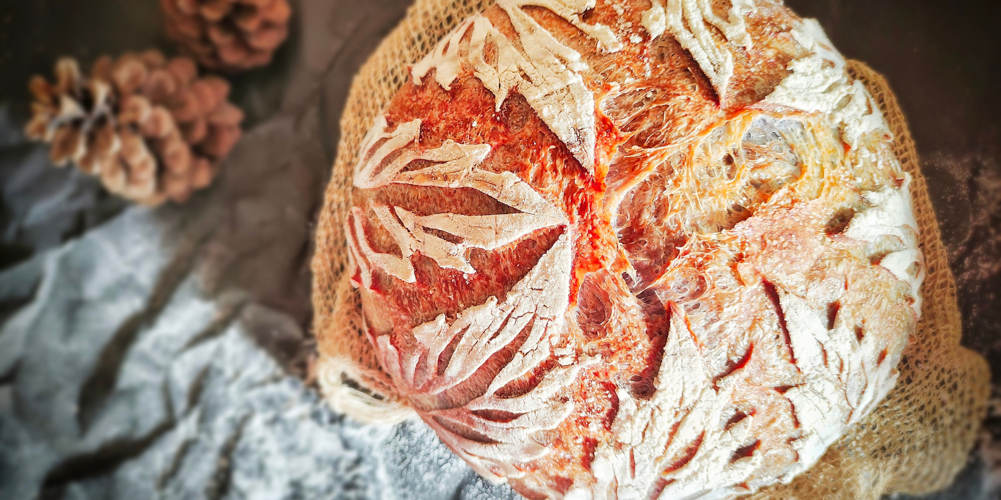 Scored Sourdough bread Kefirko