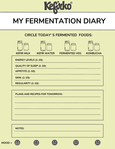 Fermentation / kefir diary