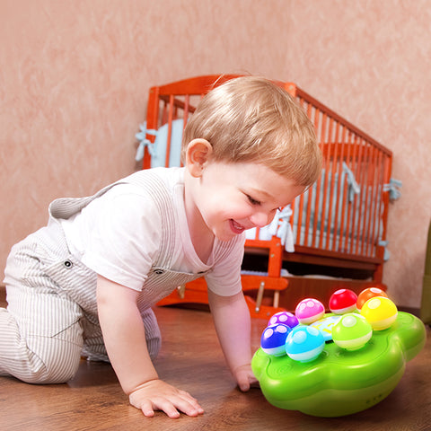 BEST LEARNING Mushroom Garden : Educational Light Up Learning Toys