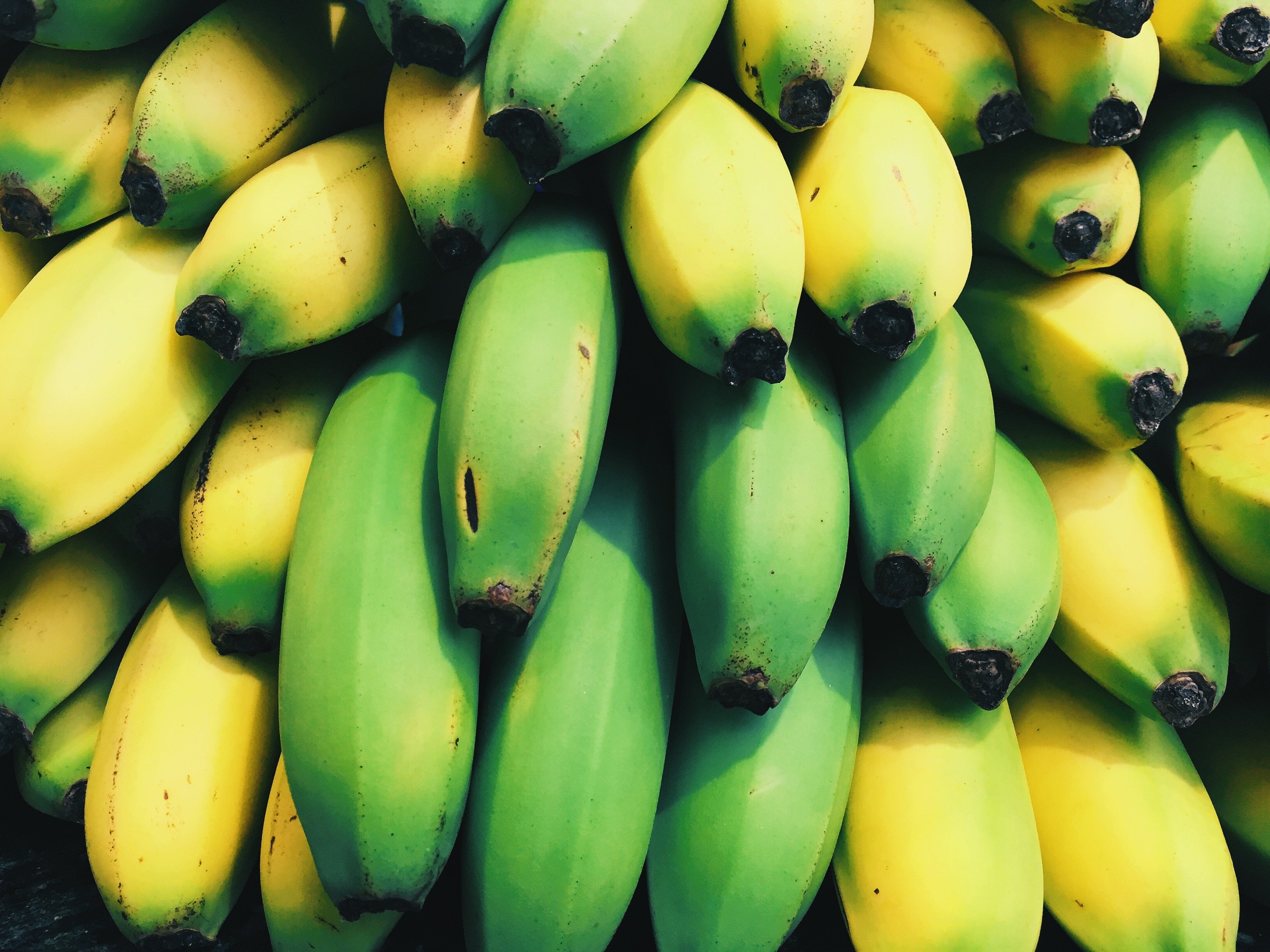 famous people eating bananas