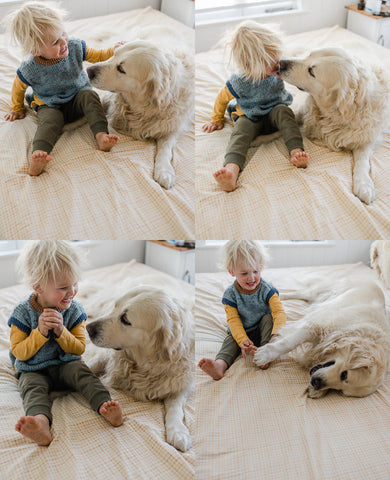 Series of 4 photo of a young boy patting and being licked by a golden retriever dog as he sits on a bed in a hand knit blue vest
