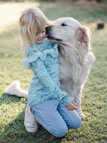 a young girl in her hand knit sweater is licked by her golden retriever dog