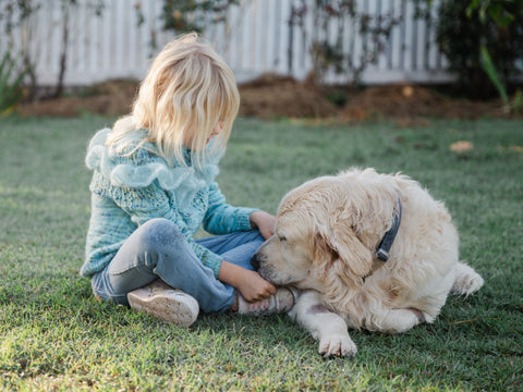 young blonde girl in hand knit sweater sits with a golden retriever dog on a lawn