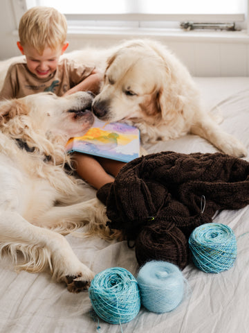 dogs lick each other over the top of a boy reading a book while yarn and knitting lay in the foreground