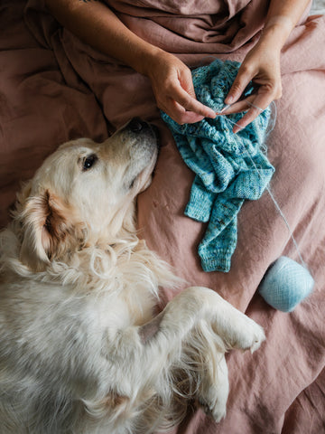 overhead shot of a woman's hands knitting a child sweater in variegated blue and green yarn while a golden retriever dog lays alongside her