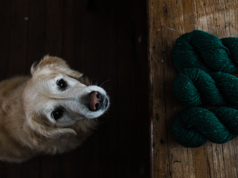 Donegal yarn for Magnolias sweater - this darling home