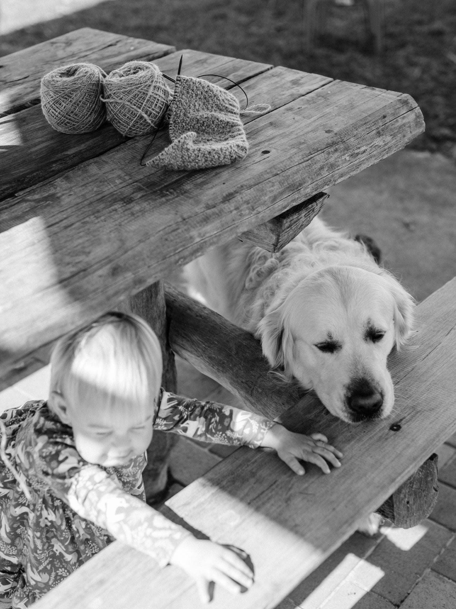 This darling home handspun yarn/knitting on a picnic table with Chester the golden retriever and a little girl playing underneath