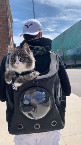 The Navigator Convertible Cat Backpack - For Adventurous Cats and Hu