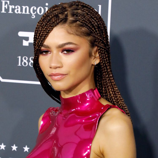 Image of Zendaya with a twist hairstyle of classic box braids at an award show.