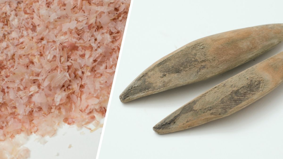 TAIKO|DRIED BONITO feature image