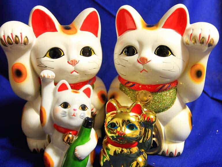 japanese lucky cat