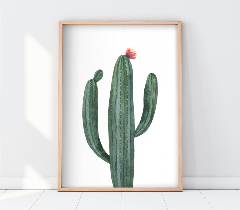 Earthy Cactus' Print - Marcus Prime