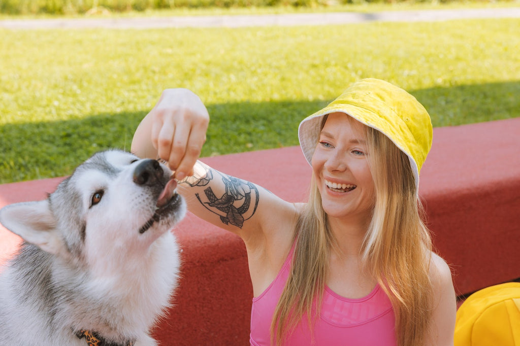 A woman wearing pink hand feeding her dog