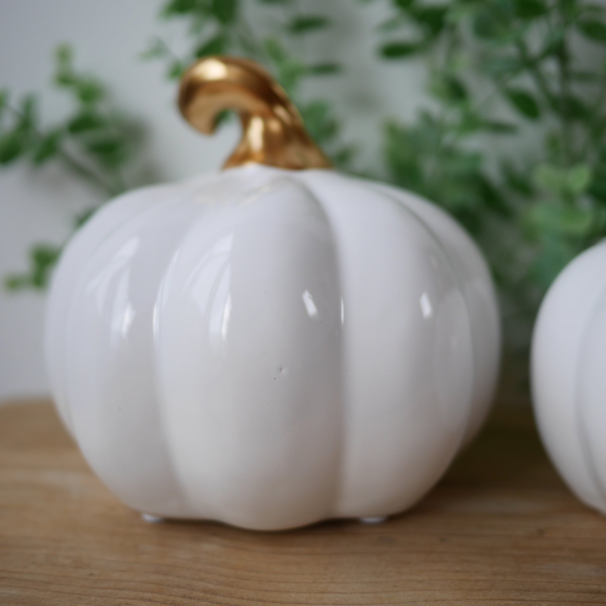 white pumpkin bowls with lids