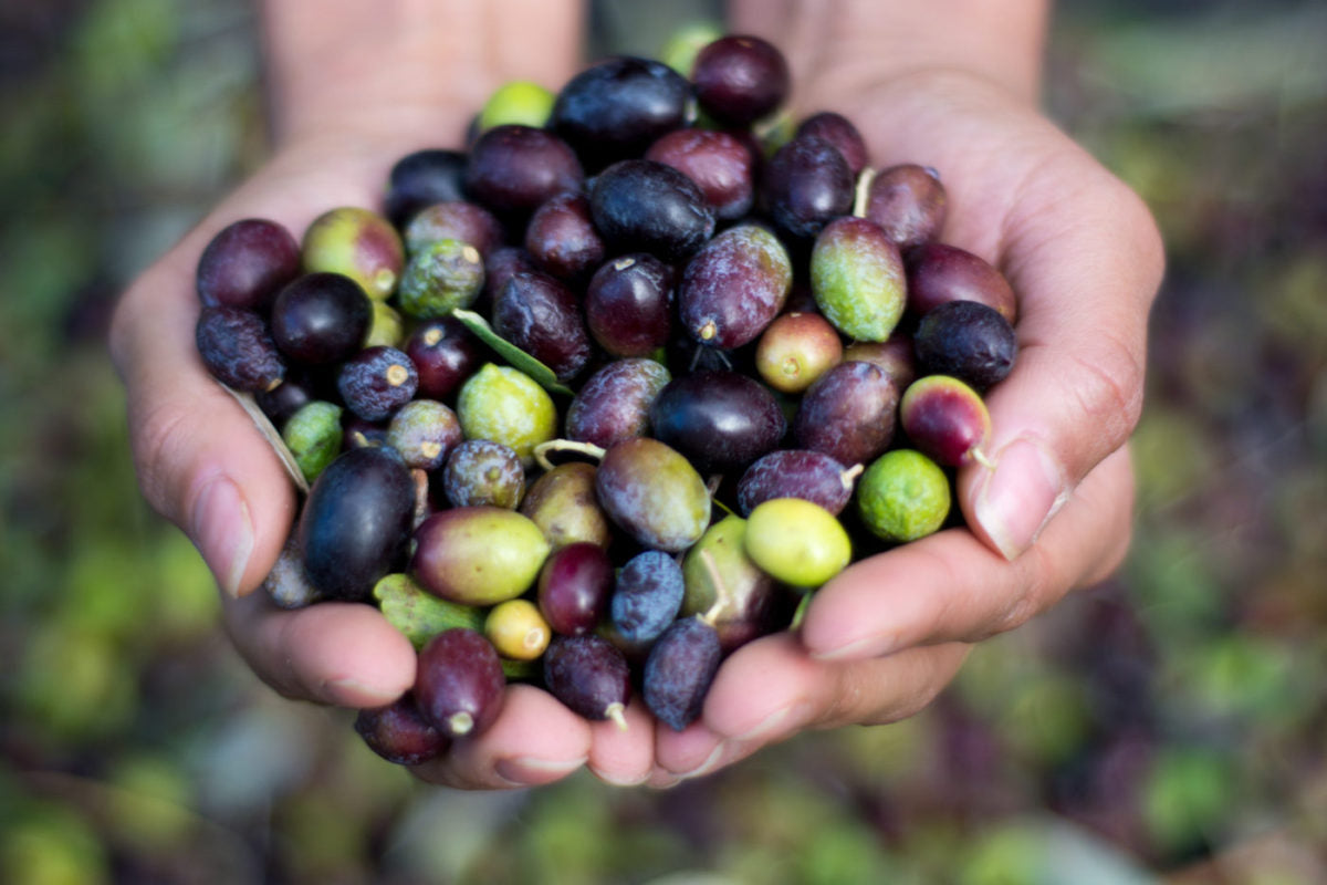 como se hace aceite de oliva virgen extra