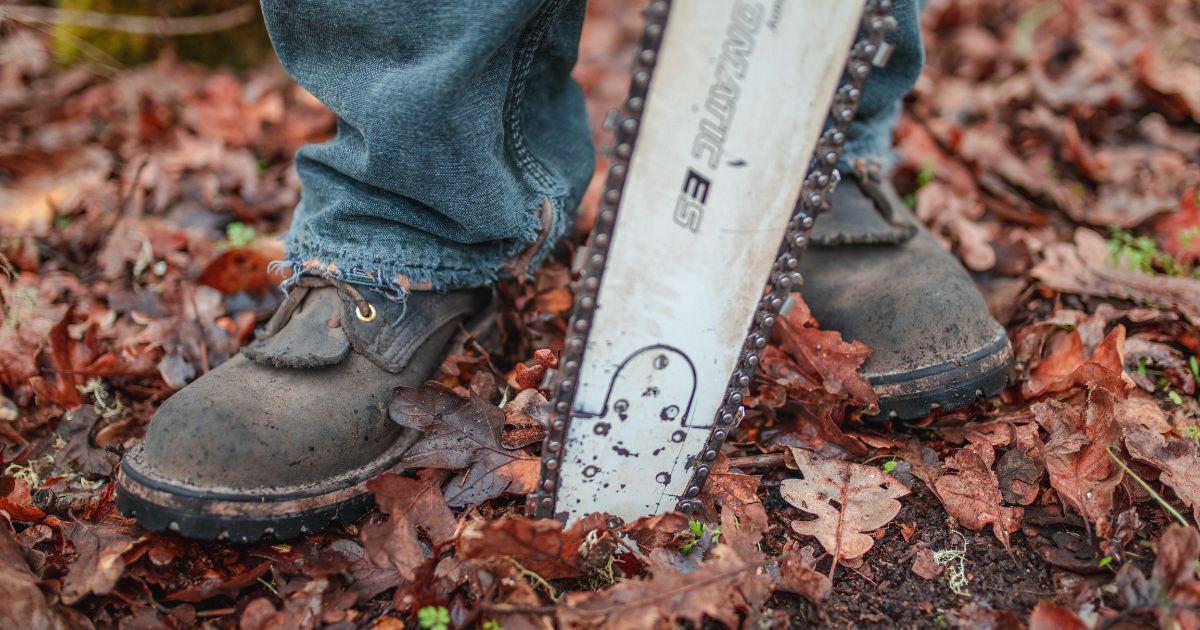  pair of leather logging boots on the forest floor next to a chainsaw