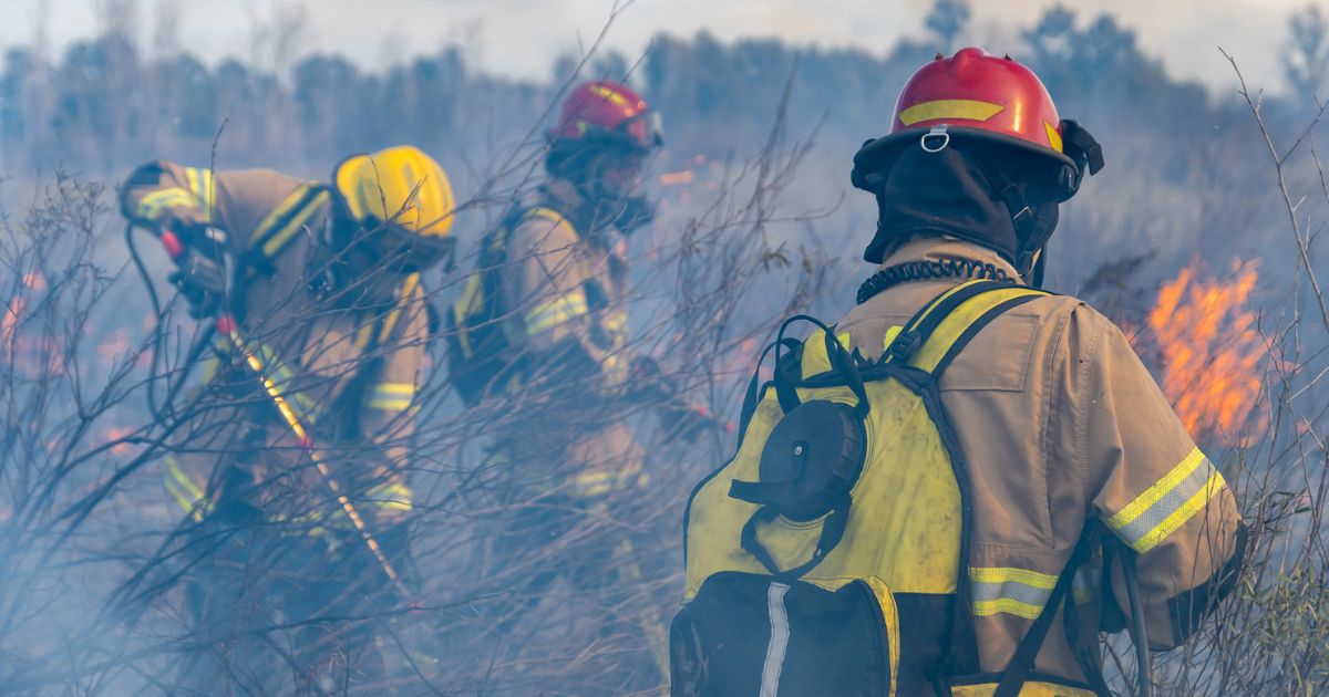 firefighters fighting brush fire