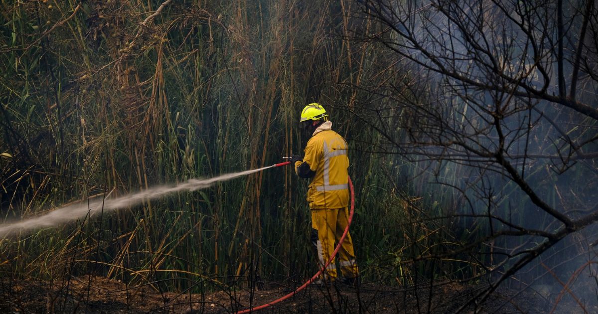 firefighter-spraying-water-in-forest