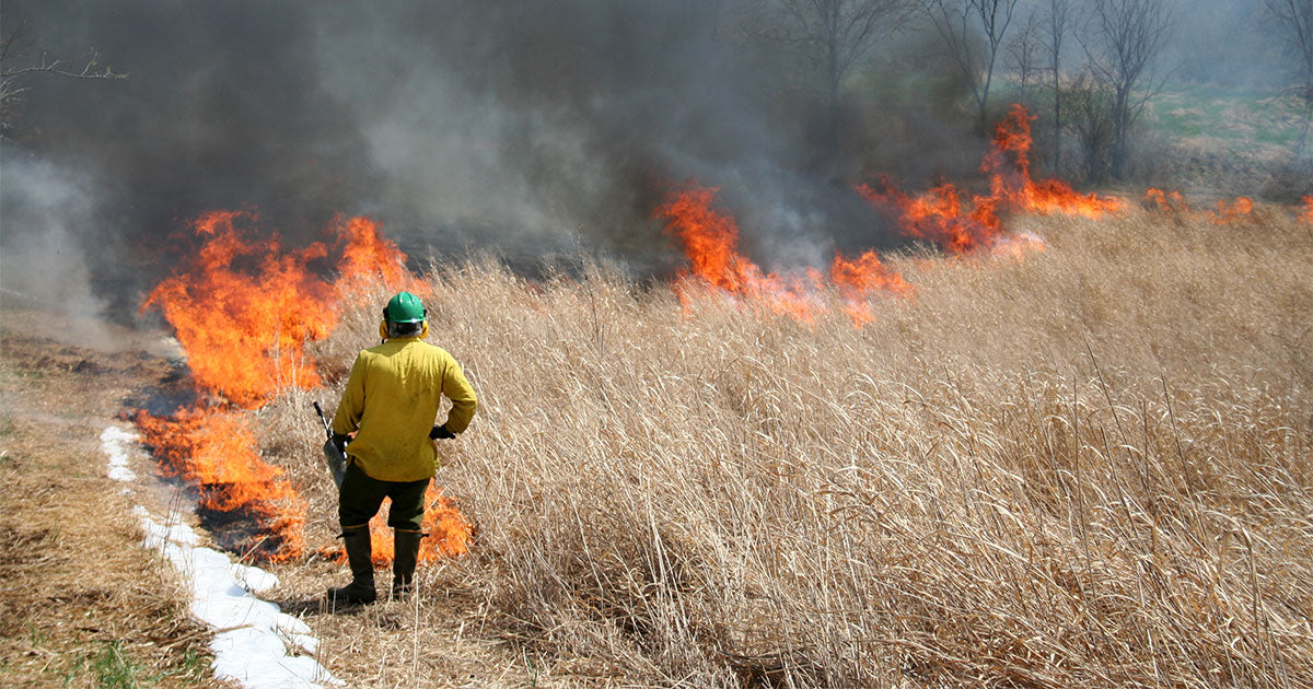 Man fighting wildfires during day