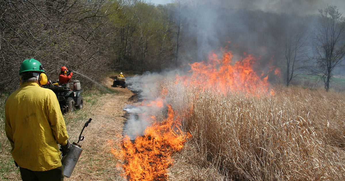 Workers fighting wildfires