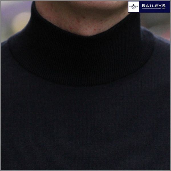 Baileys Navy Wool Turtle Neck,